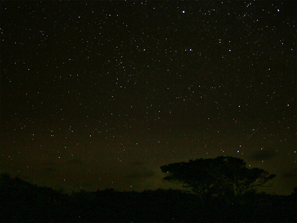 満天の星空