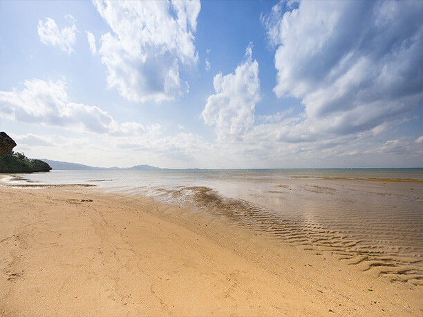 砂浜