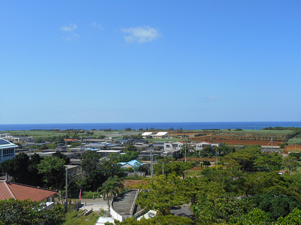 小さな集落とサトウキビ畑