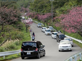 大きなカーブから見える景色