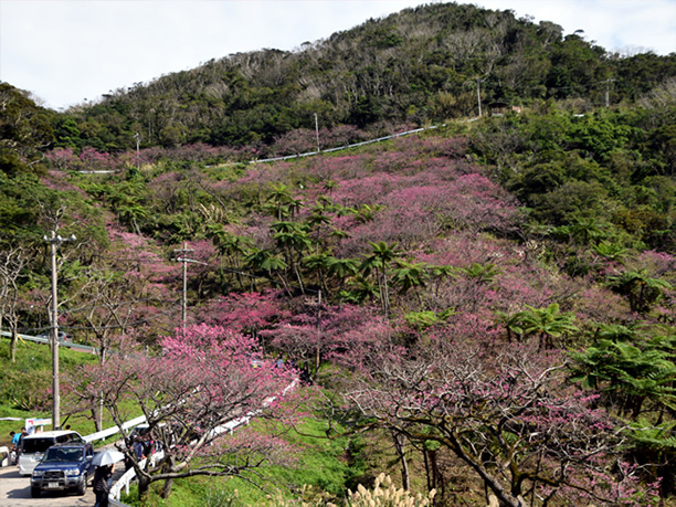 山腹