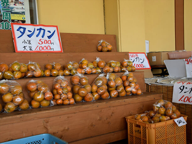 販売されているタンカン