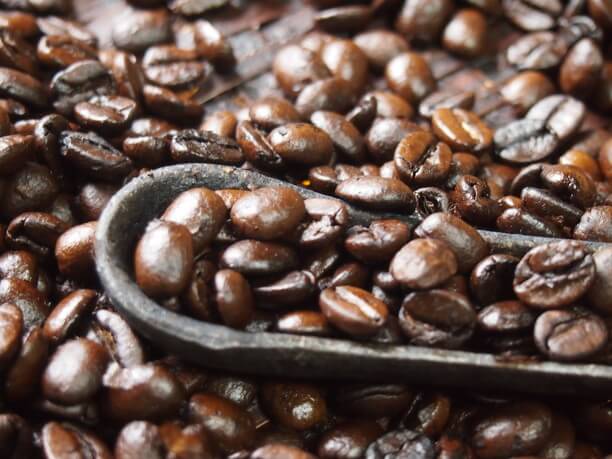 焙煎したコーヒー豆