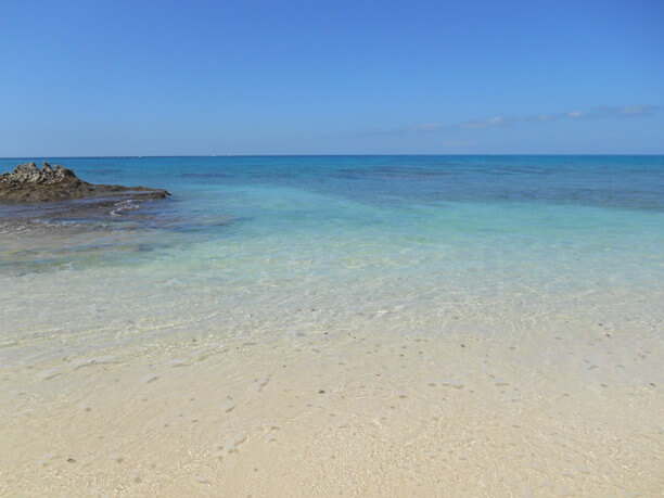 特別な浜ムスヌン浜