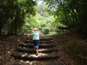 久米島の絶景が見られる公園