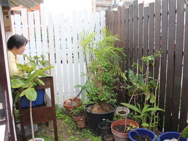 気持ちいい風が吹き抜けるひばり屋