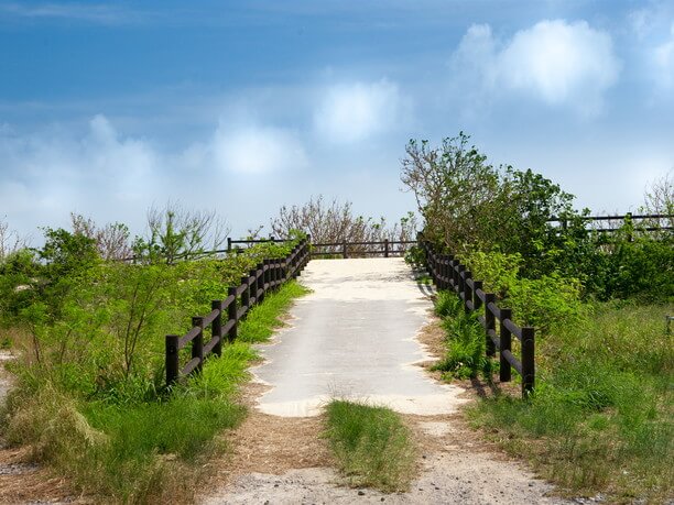 砂浜沿いに散策路