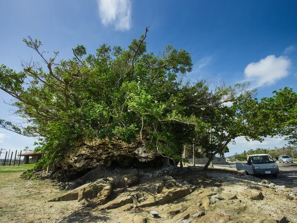 約2000年前の大津波で陸地に打ち上げられた津波大石