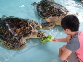 餌あげ体験