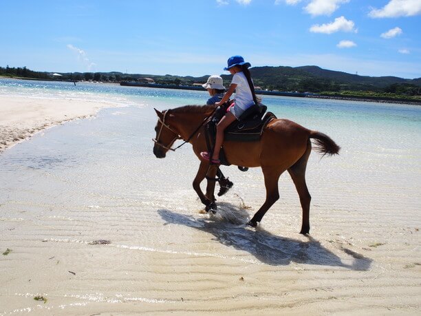 海を歩く馬