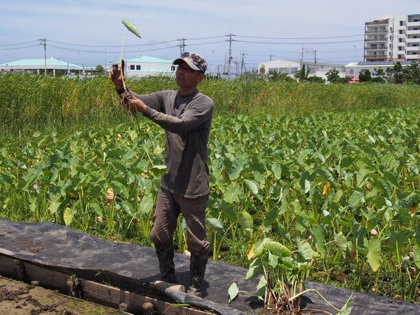 細かい作業