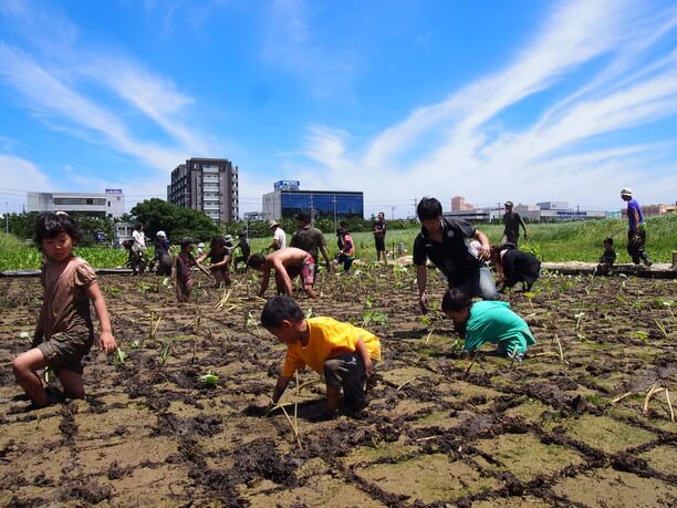 等間隔で植える