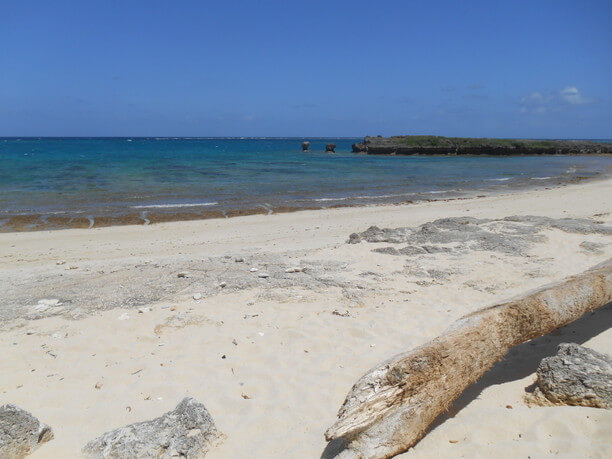 美しい海岸