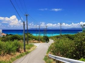 浜の入口に向かう丘上