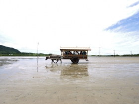 水牛車