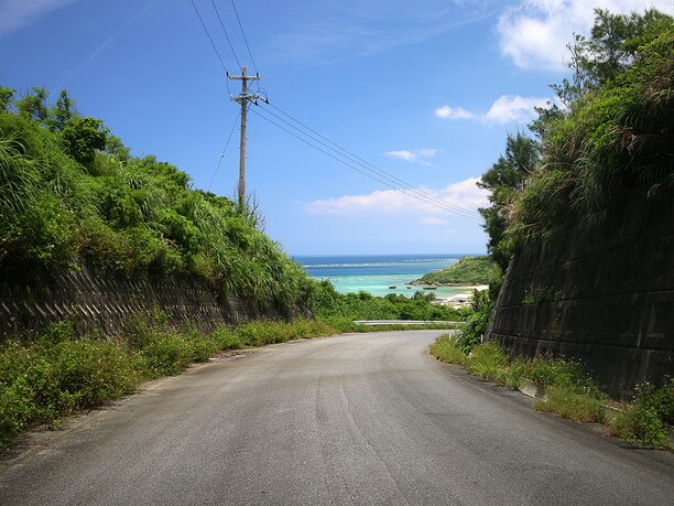 海岸までの道中