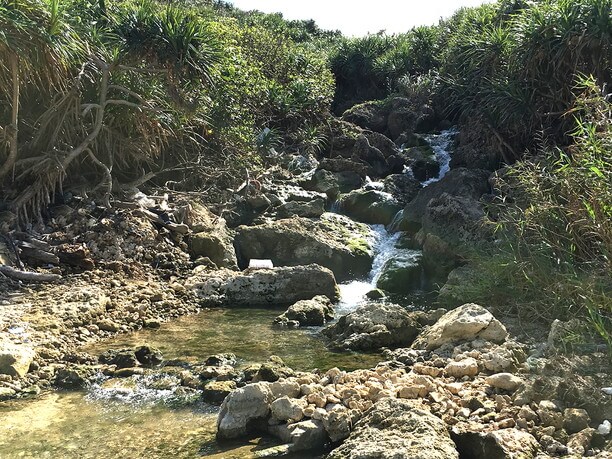 湧き水が流れ出ている所