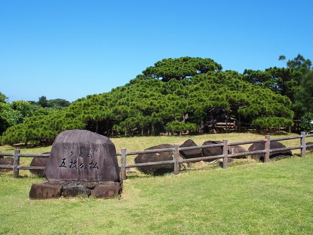 五枝の松と書かれた石碑