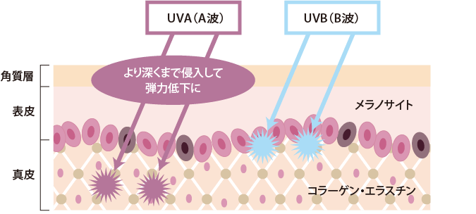 UBA（紫外線B波）
