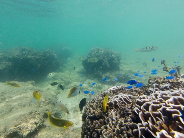 砂浜近くの海中