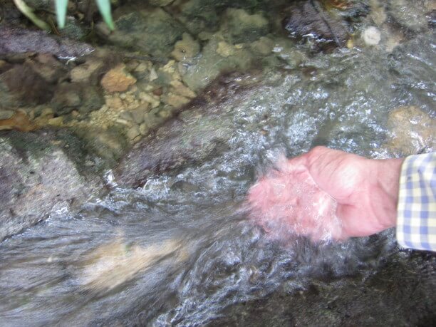 受水走水のそばに流れている水