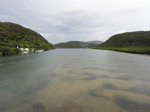 浦内川