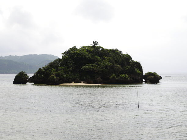 まるま盆山