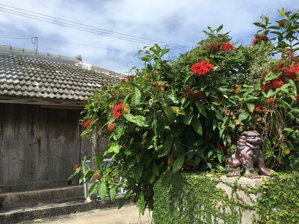 昔ながらの沖縄の景色