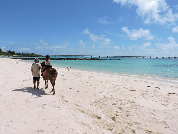 与那覇前浜ビーチでの乗馬体験