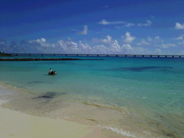 海につかっての乗馬体験