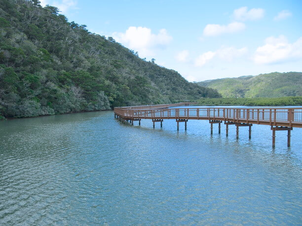 マングローブ遊歩道