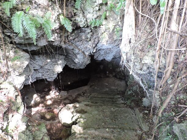 洞穴の入り口
