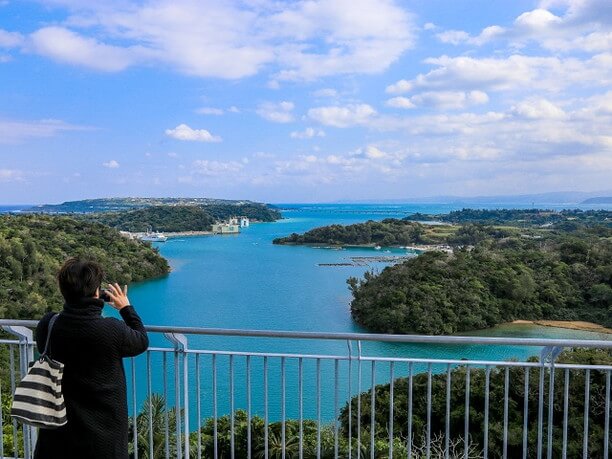 展望台から見える絶景