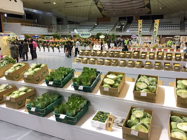 野菜の品評会