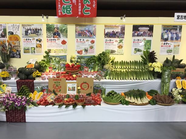 きれいな彩りの野菜のデコレーション