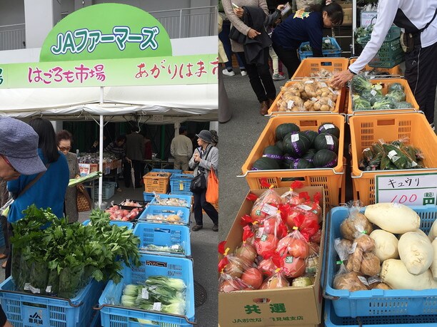 JAファーマーズの新鮮な沖縄県産野菜の販売