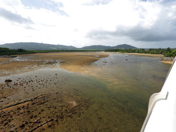 河口周辺の砂州で囲まれた干潟