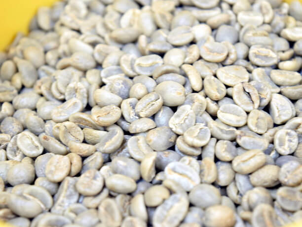 焙煎前のコーヒー豆