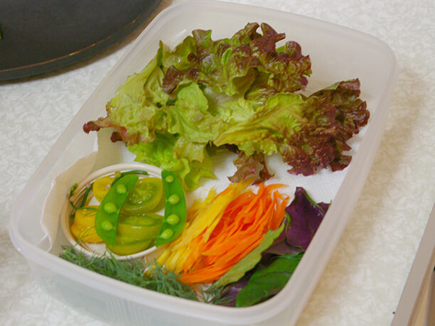 沖縄野菜