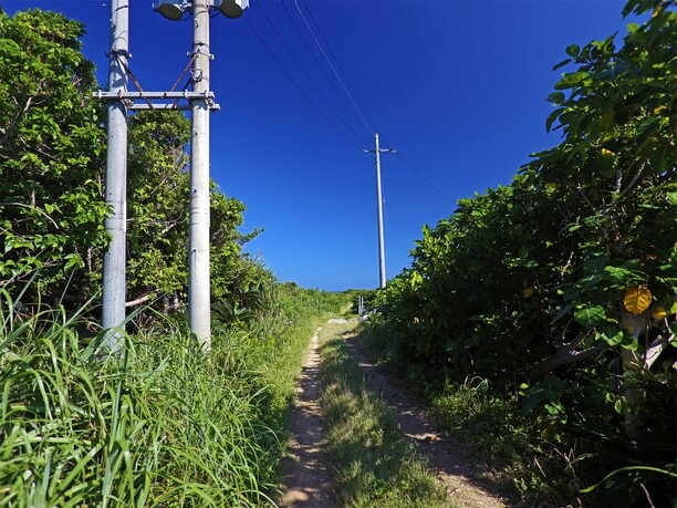 看板や目印のない道