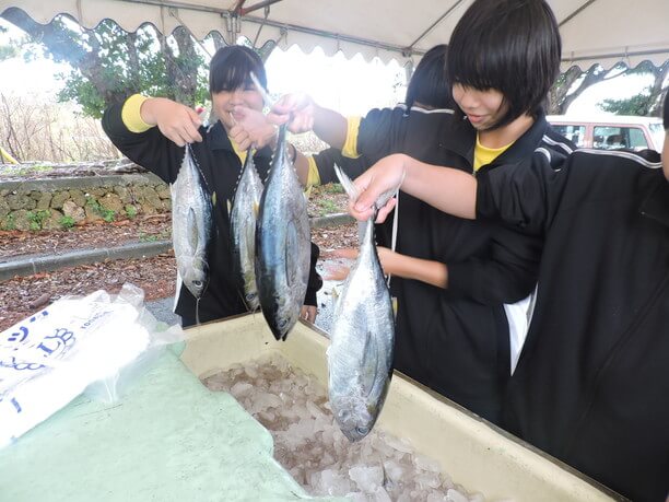 お魚券と引き換えに地元中学生がテキパキとカツオ（またはマグロ）を手渡してくれる