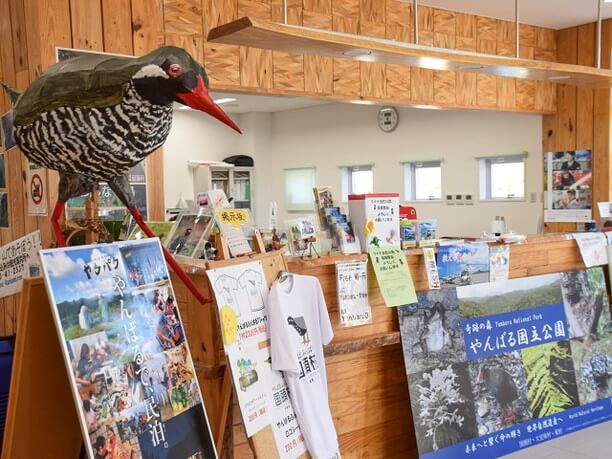 民泊・移住支援の窓口にもなっている観光案内所