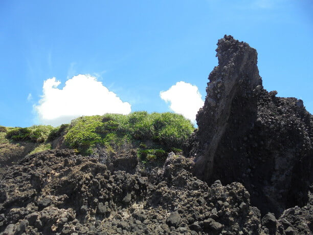 奇妙な光景