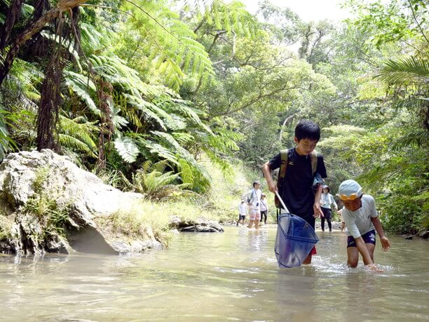 生き物確保に夢中の少年たち