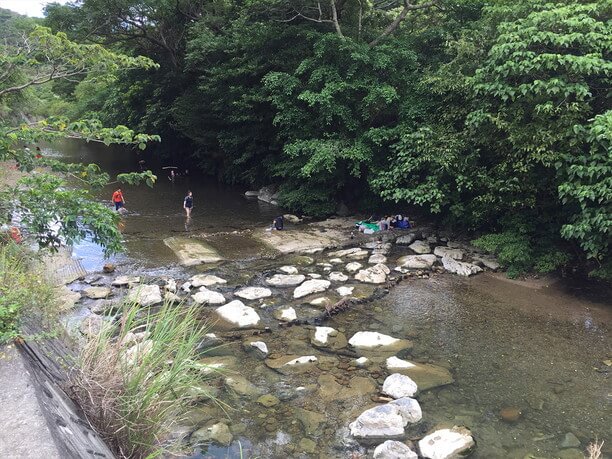 水位が低い状態