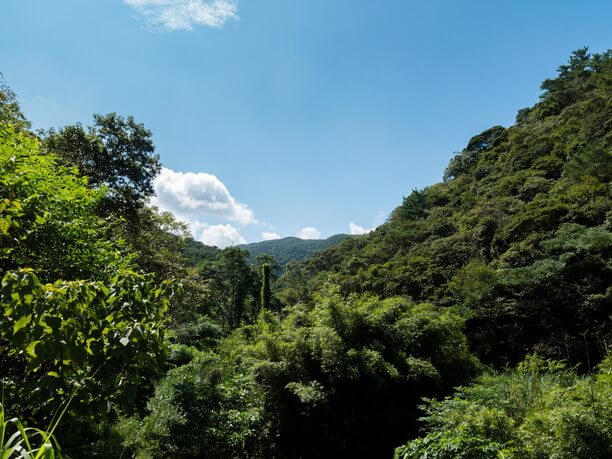 青空