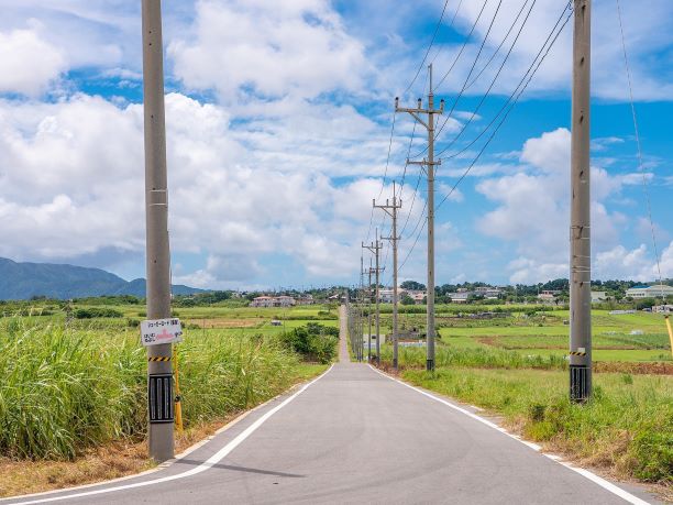 小浜島おすすめの時期