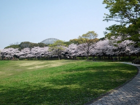 夢の島