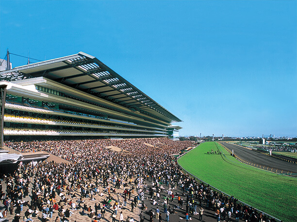 東京 競馬 場