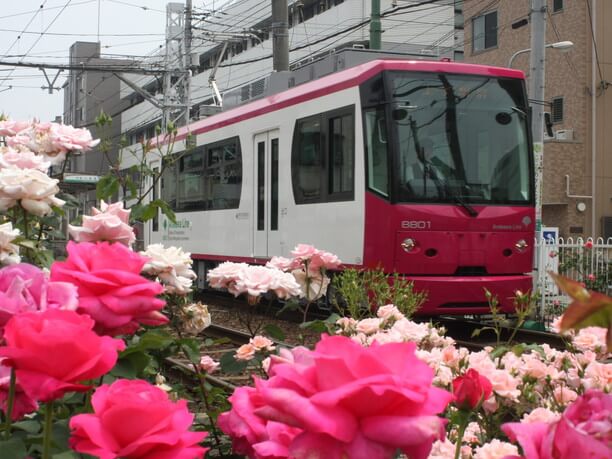 東京の新たな一面を発見 都電荒川線で行くのんびり旅 J Trip Smart Magazine 東京 東京の新たな一面を発見 都電荒川線で行くのんびり旅 J Trip Smart Magazine 東京